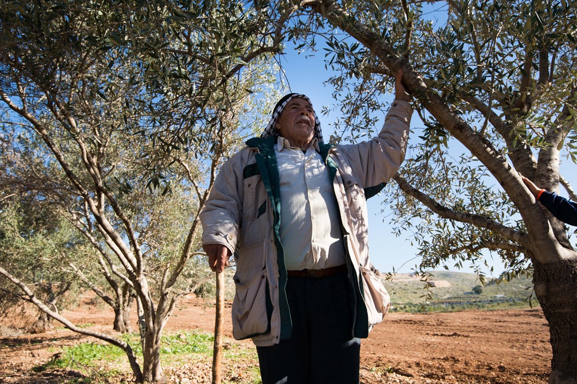 Kayyed stands in his recently cleared olive grove, HALO Trust.