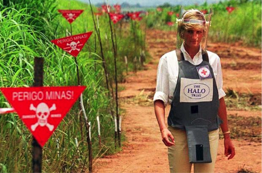 diana-minefield-halo-trust