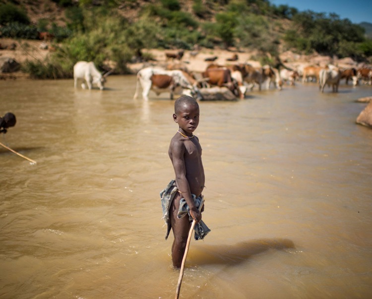 A child holding a stick with minimal clothing stands in a murky river with cows in the background