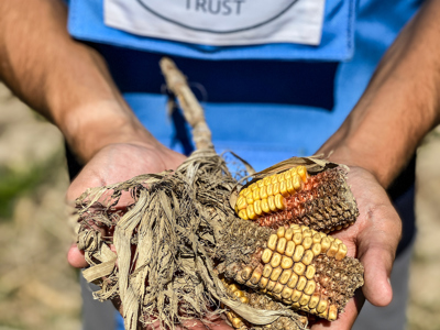 Link to FMC Corporation Supports HALO in Ukraine