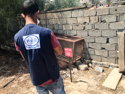 Link to German support for Tripoli clearance