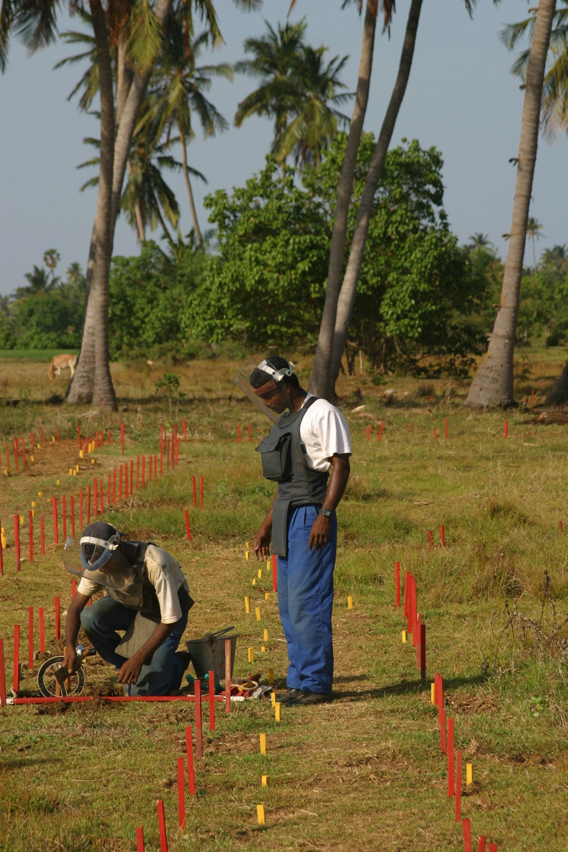 Sri Lanka is one of the most densely mined countries in the world. Since 2002 HALO has removed over 200,000 mines.