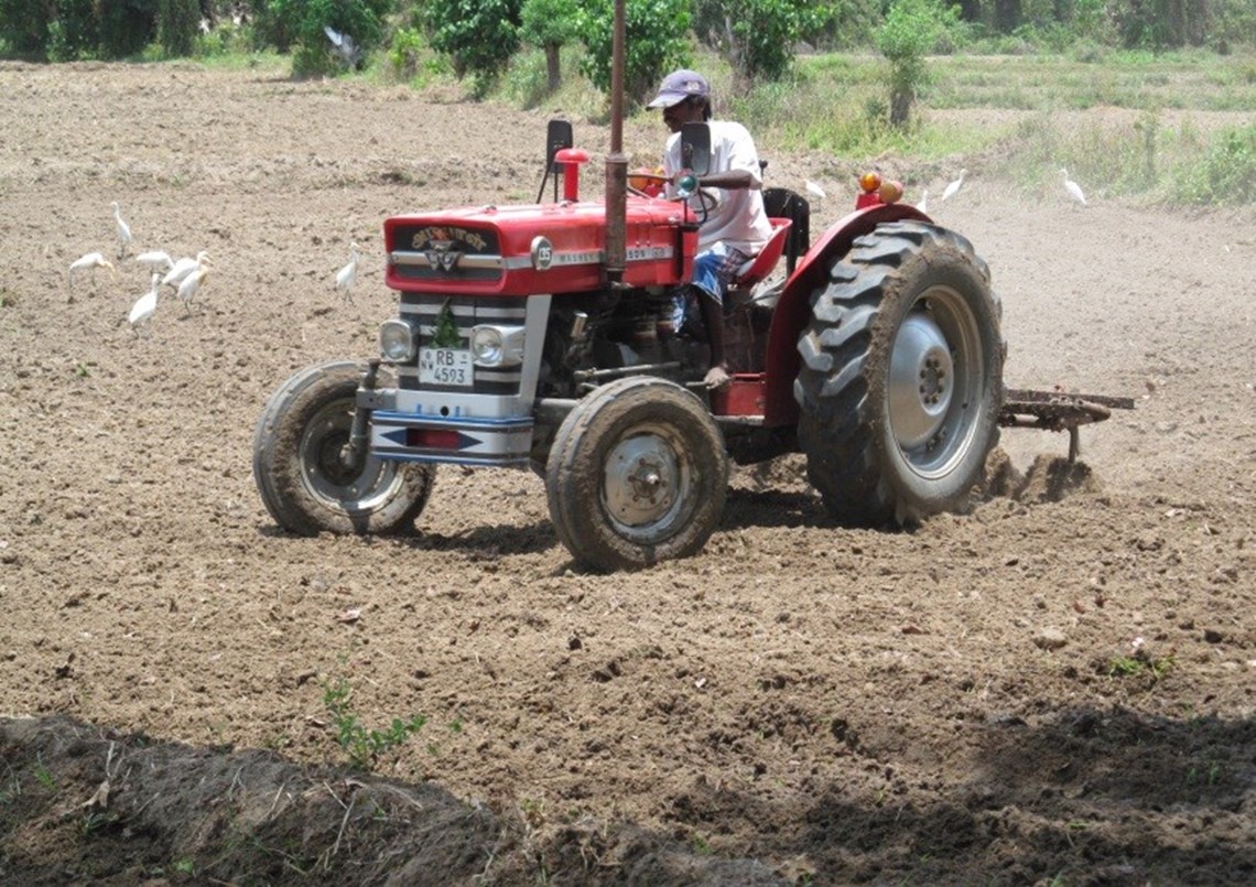 Beneficiary ploughing an area where HALO conducted mine clearance in Sri Lanka.