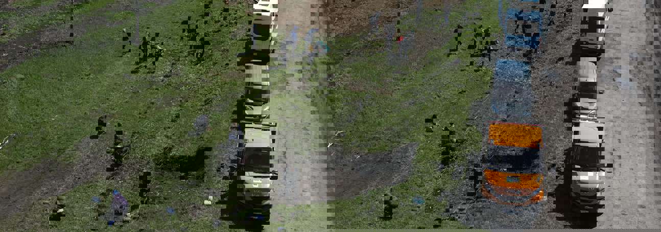 Команда проєкту працює на ділянці лісосмуги, що відновлюється