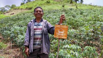 A lethal harvest in cambodia
