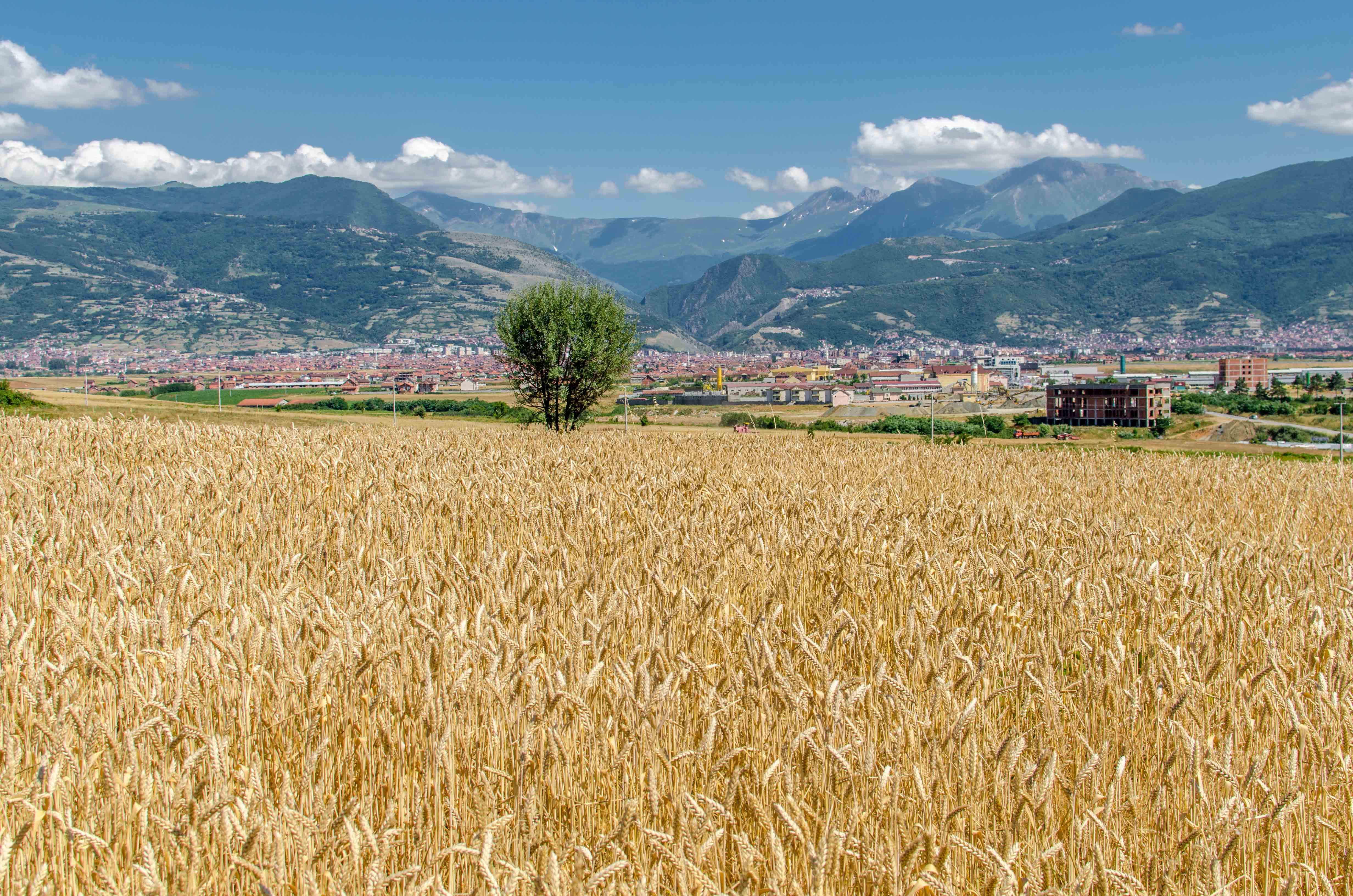 View across the fields of Kosovo to a town in the distance