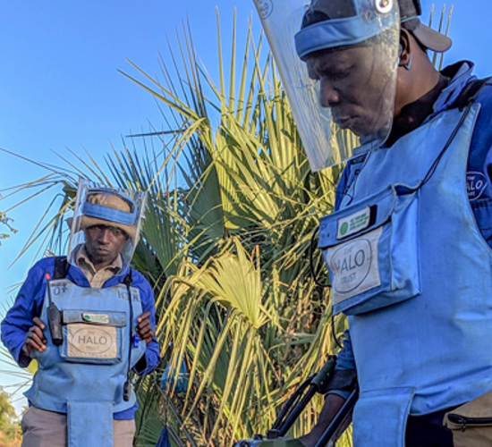 Two HALO deminers wear PPE and visors whilst using a detector in Zimbabwe
