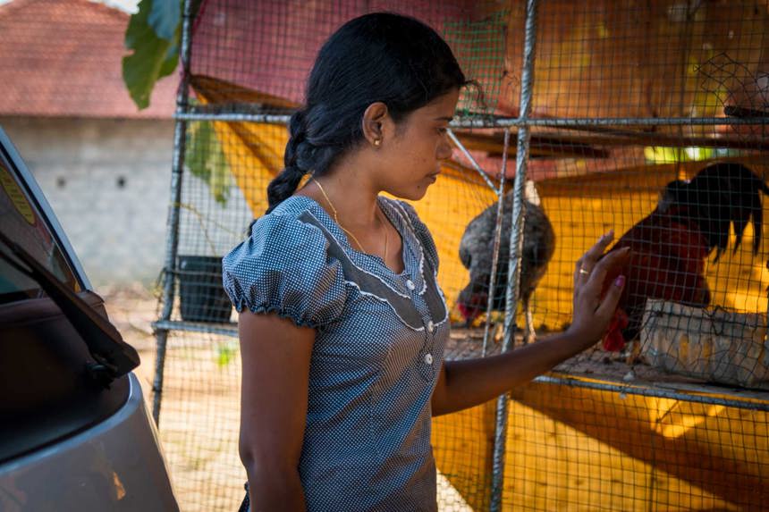 A woman stands next to a chicken pen in Sri Lanka