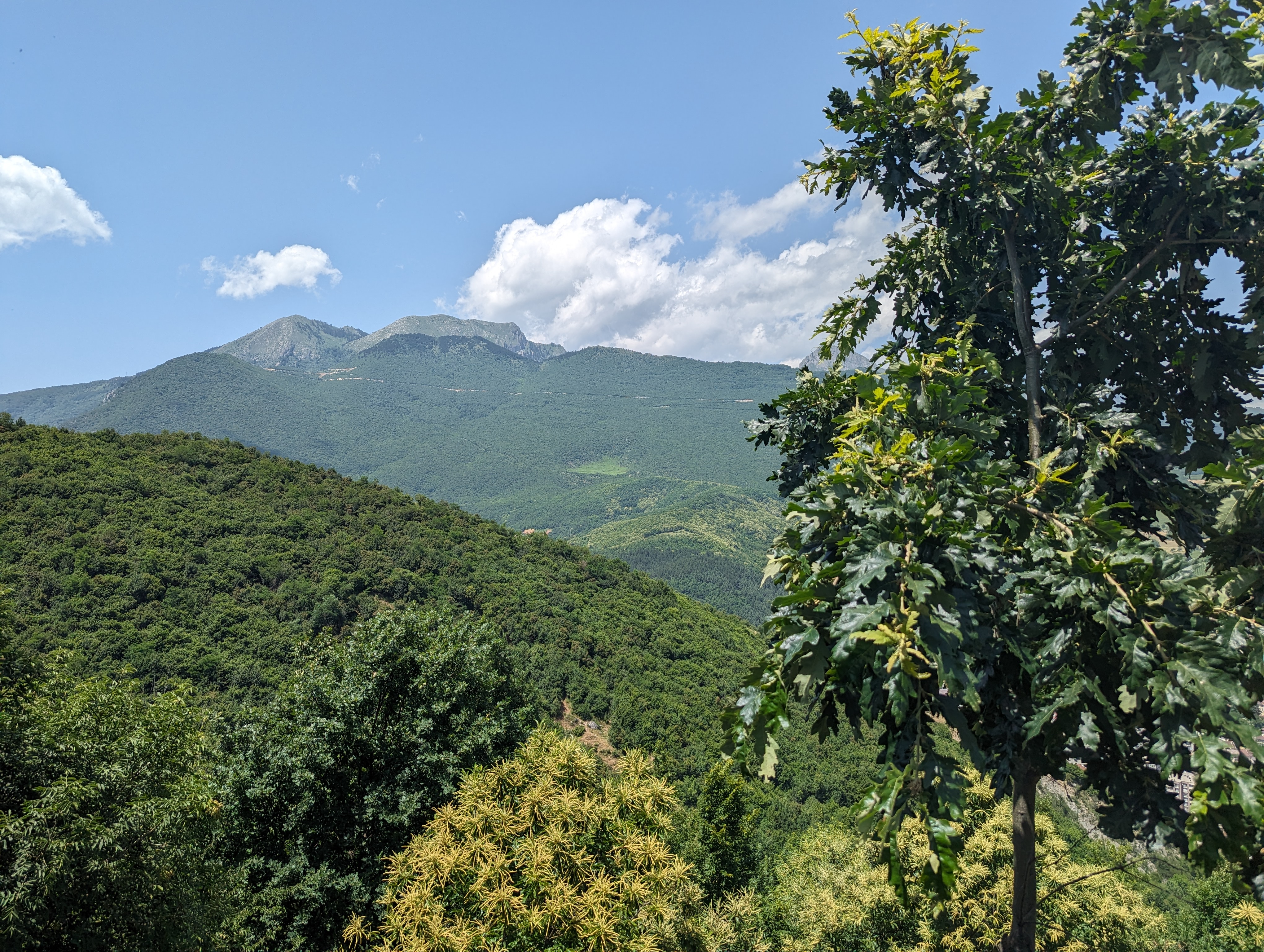 cleared-land-kosovo