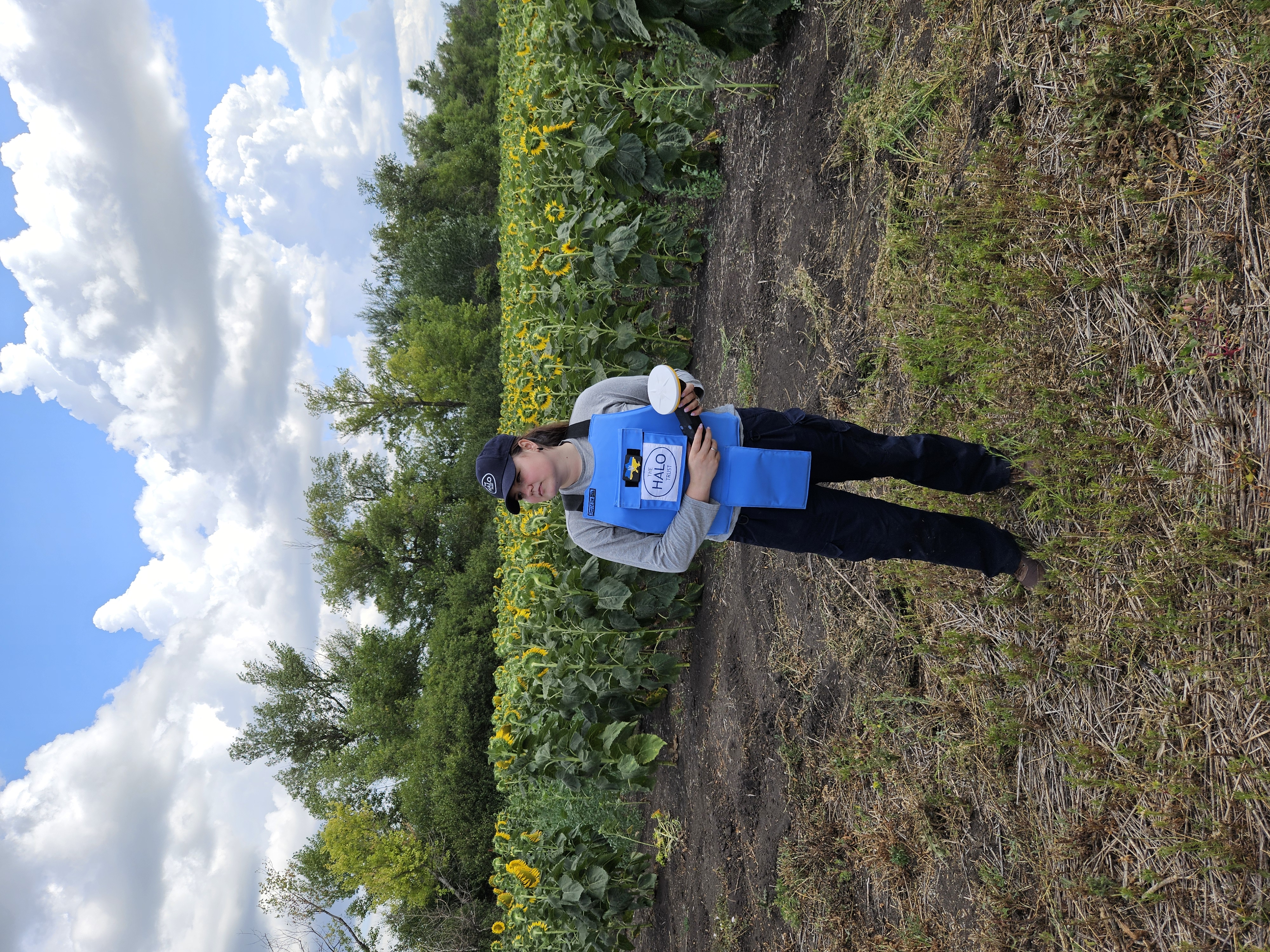 deminer-holds-trimble-in-sunflower-field-Image-3