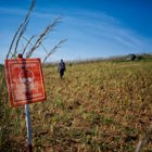 Link to Making land safe