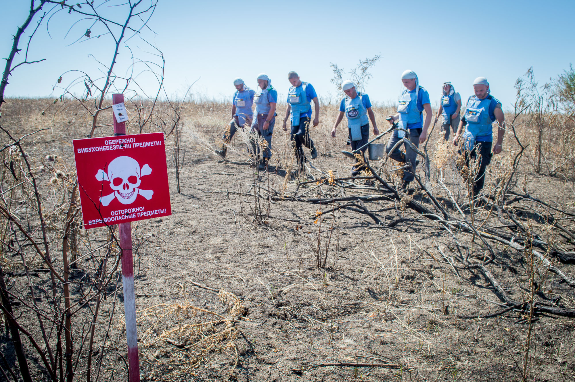 Group of HALO deminers walk through a minefield in Ukraine