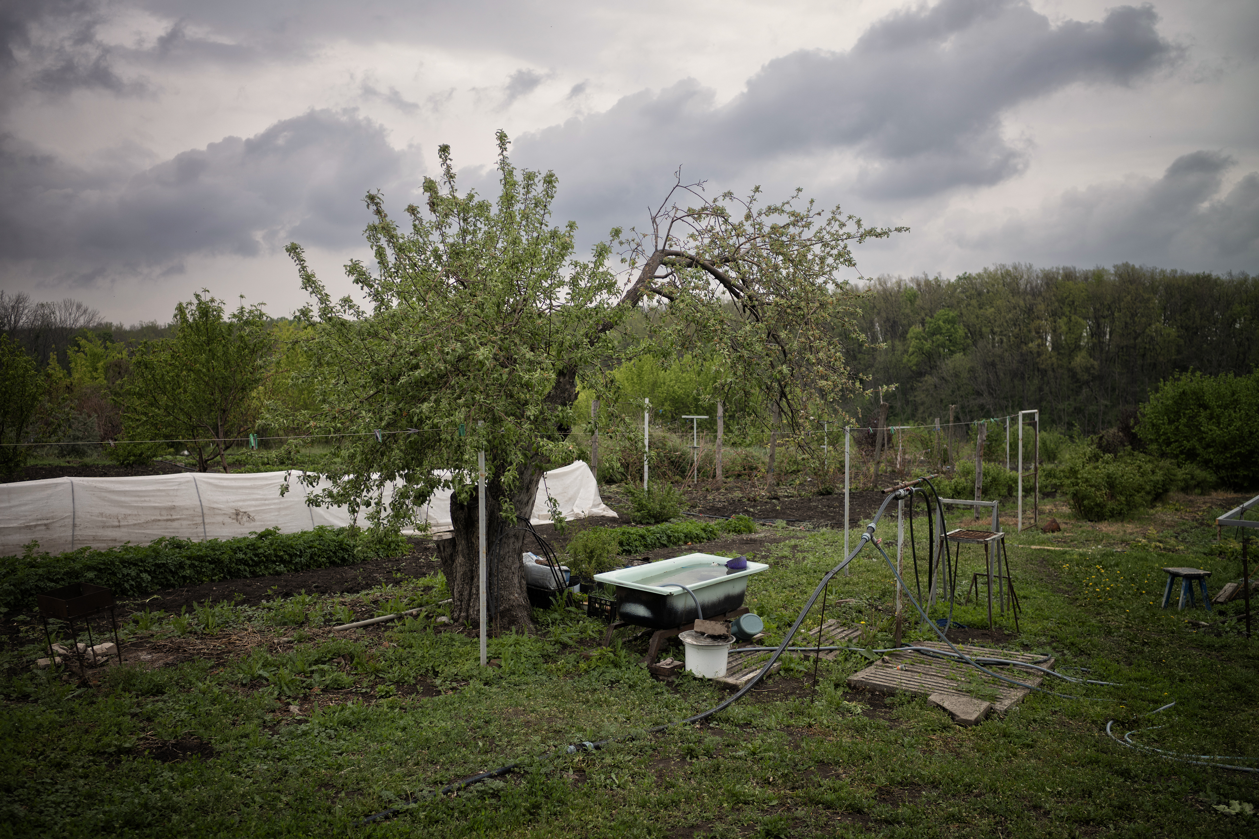 A wheel barrow and water basin sit in the middle of Natalia's land