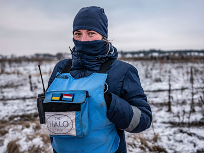 Link to Ukraine Marshall Plan for Mines