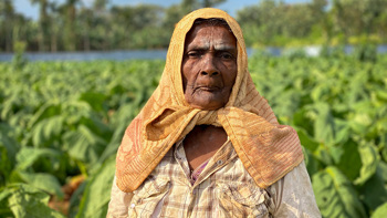 World Food Day 2020