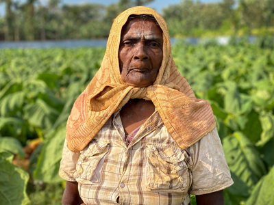 Link to World Food Day 2020
