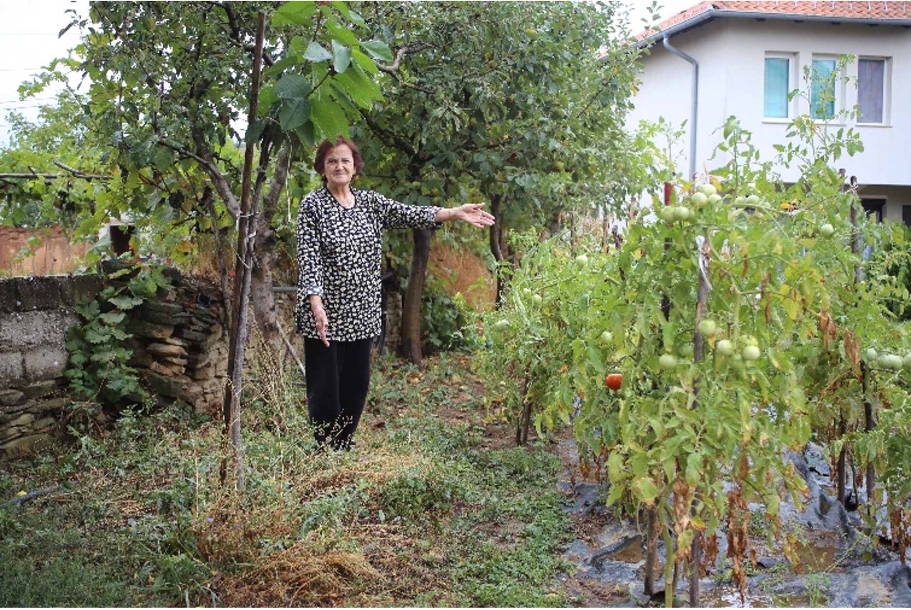 A woman stands gesturing at rows of tomatoes growing outside of her home.