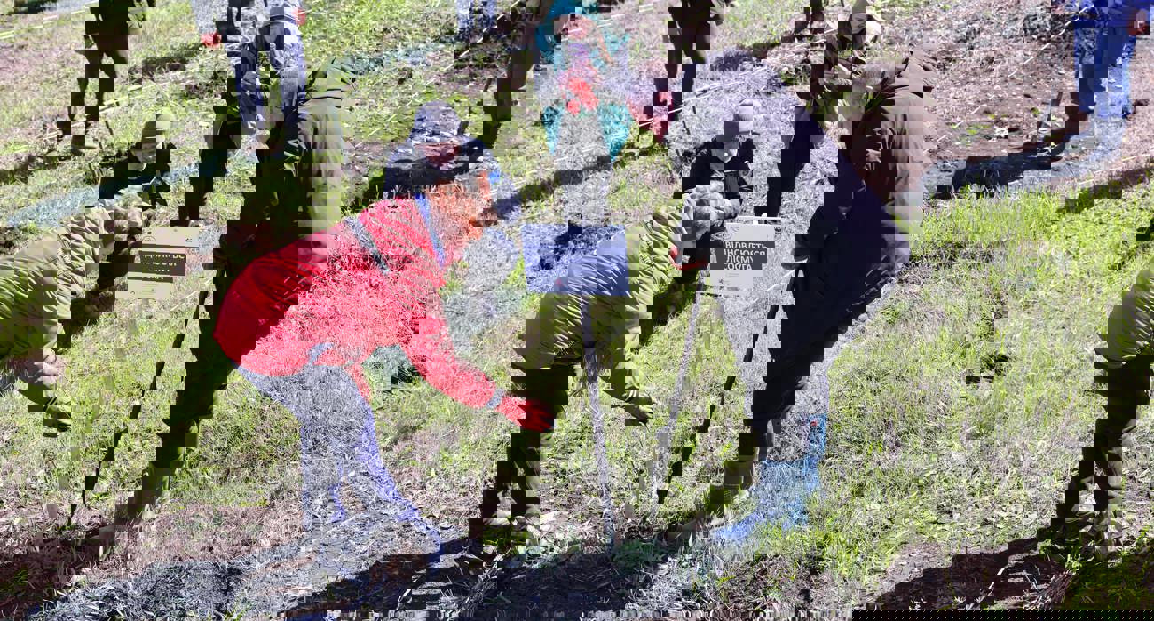 Представники ХАЛО та партнери висаджують дерева на ділянці