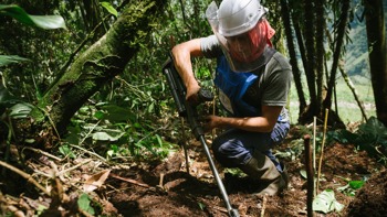 A deminer wearing PPE crouches between plants and uses their metal detector just above the soil