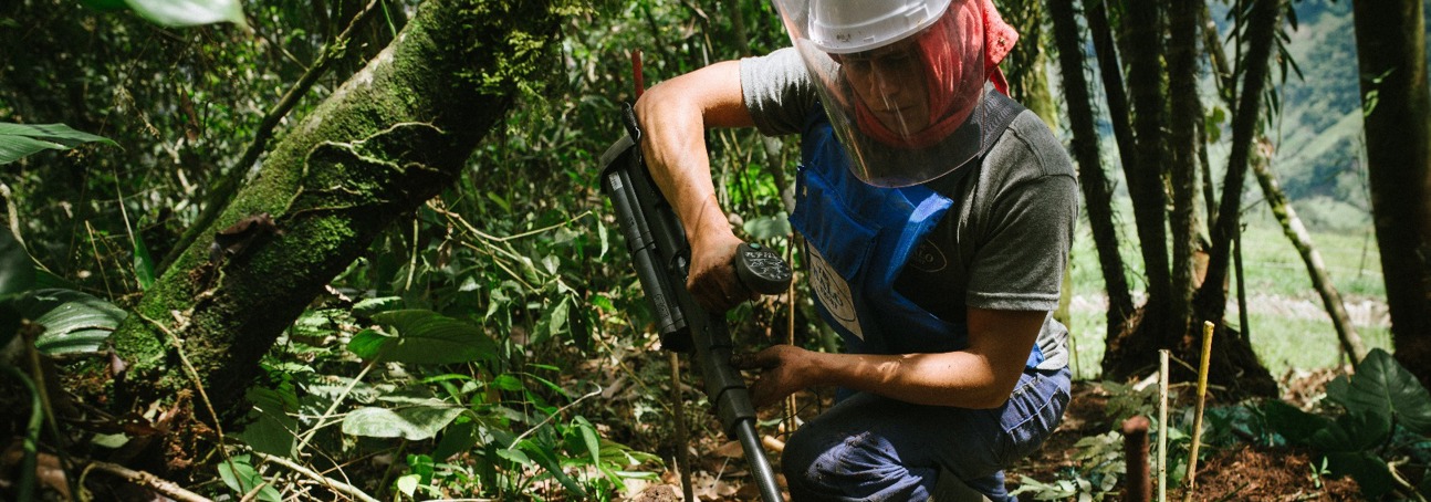 A deminer wearing PPE crouches between plants and uses their metal detector just above the soil