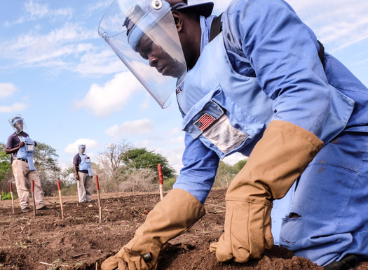 50000-landmines-Zzmbabwe-halo-trust