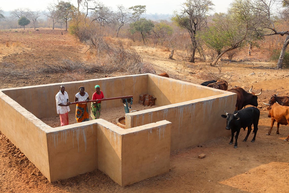 Livestock can drink from a trough at the side of the borehole