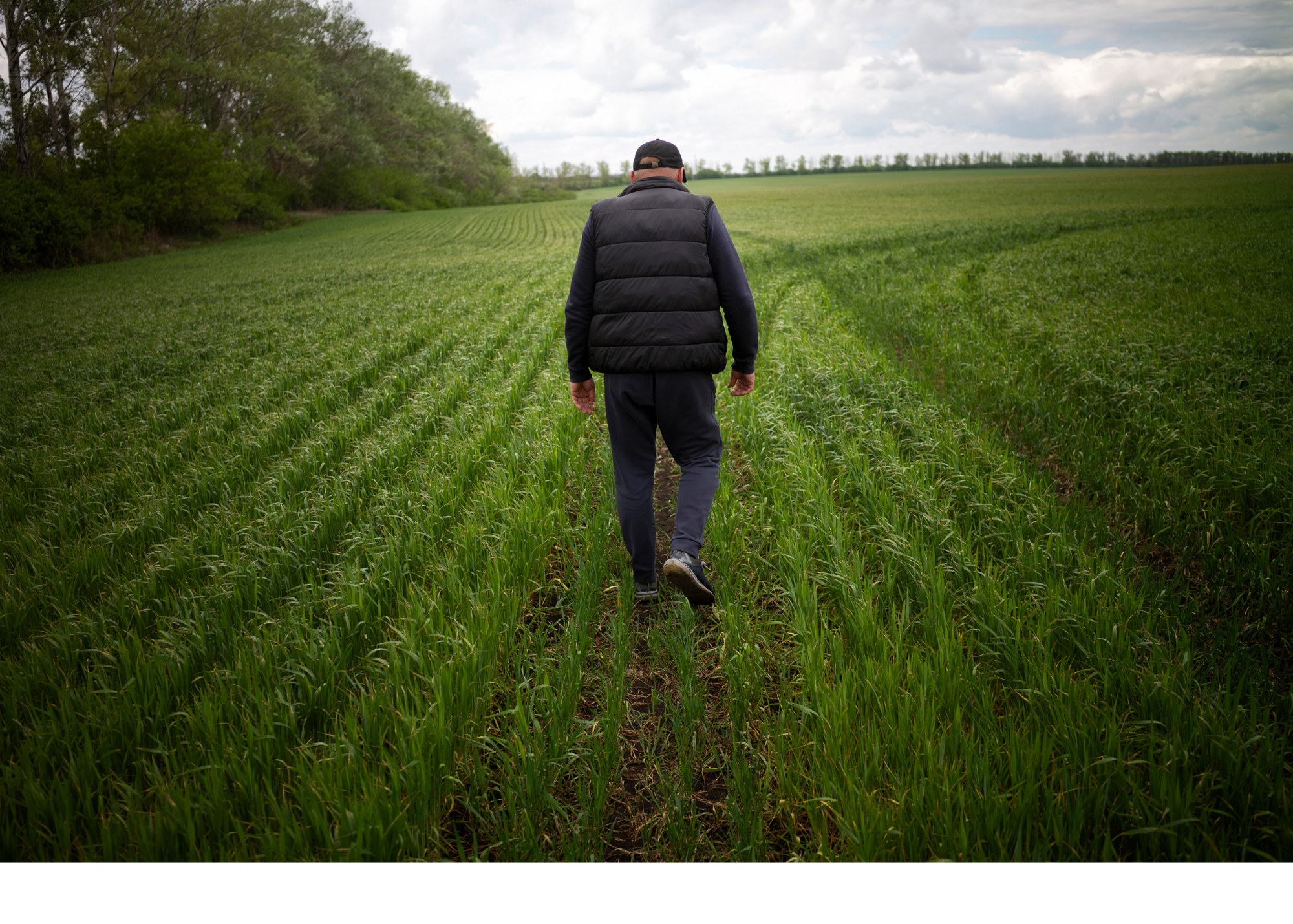 Farmer Yaroslav walks through his field of crops