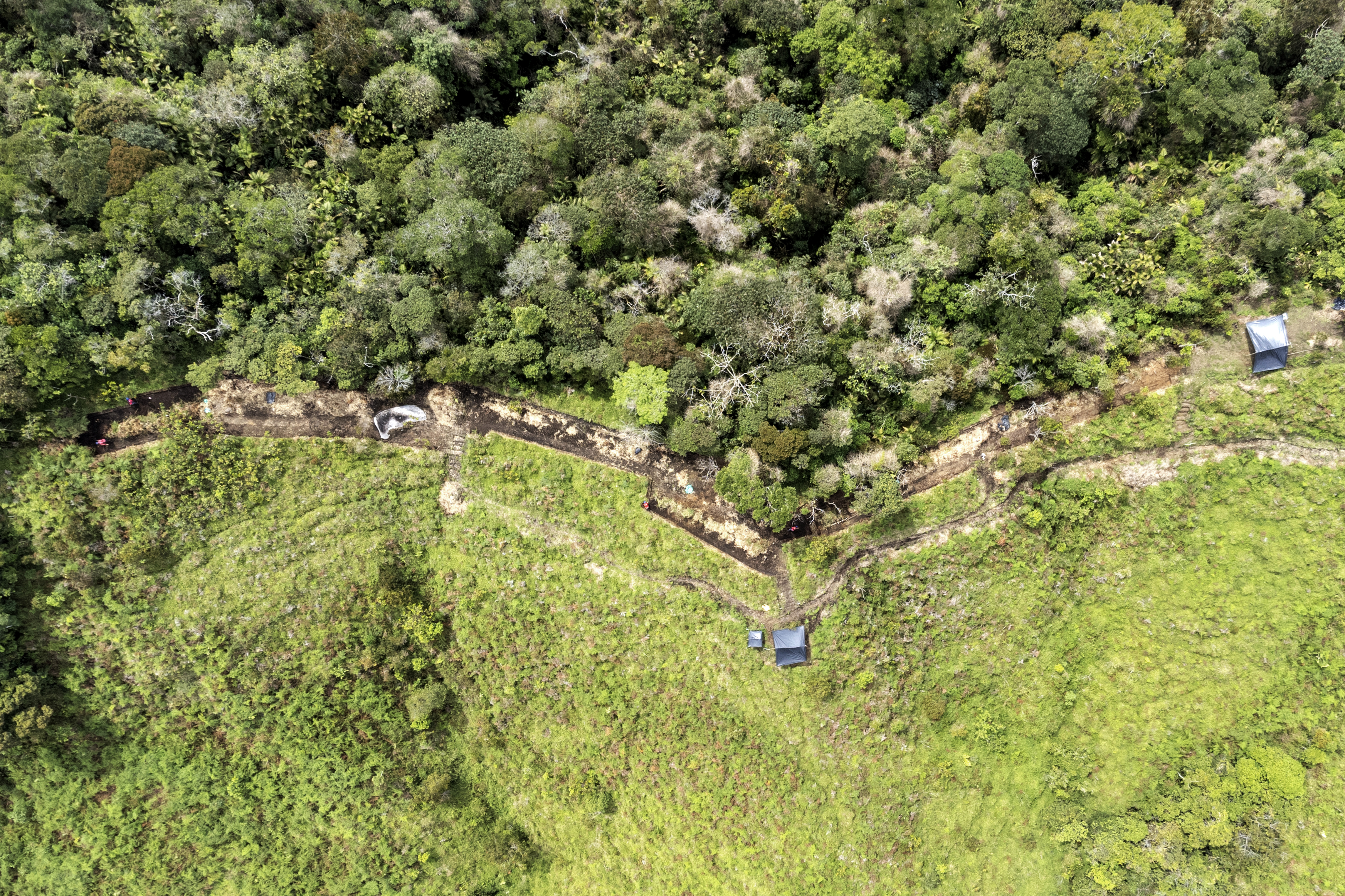 Mesones aerial