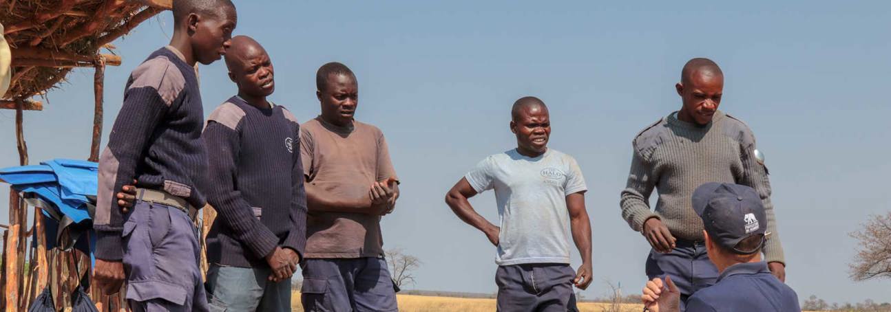 HALO Trust staff receive medical training in a minefield