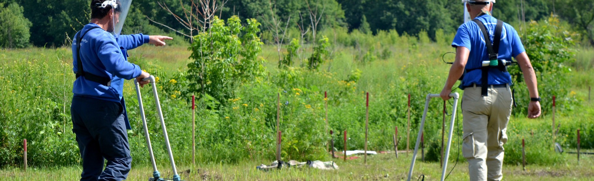HALO staff use a Large Loop Detector on a grassy minefield in Ukraine