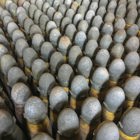 Link to Managing weapons and ammunition