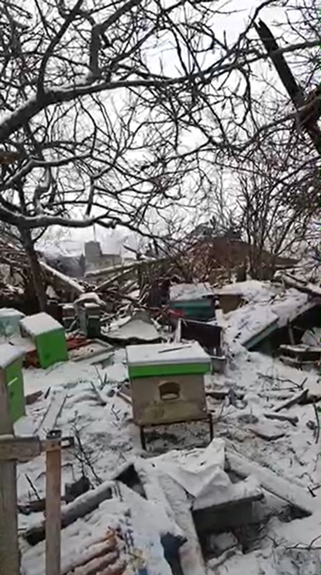Частина пасіки після удару