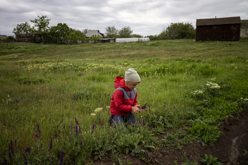 A little boy in a red jacket picks flowers in a field.