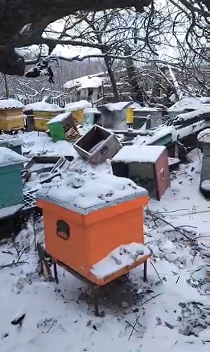 Зруйнована пасіка після удару