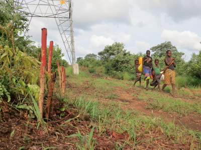 Link to Specialist landmine detector used in Mozambique