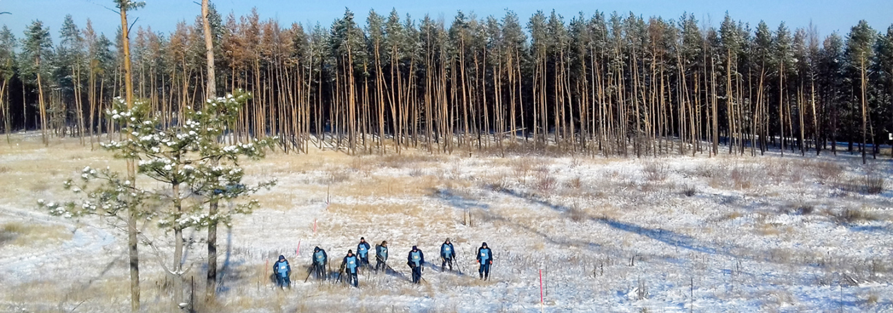 A team of HALO Trust deminers walk through a snow covered minefield next to a thick forest in Ukraine