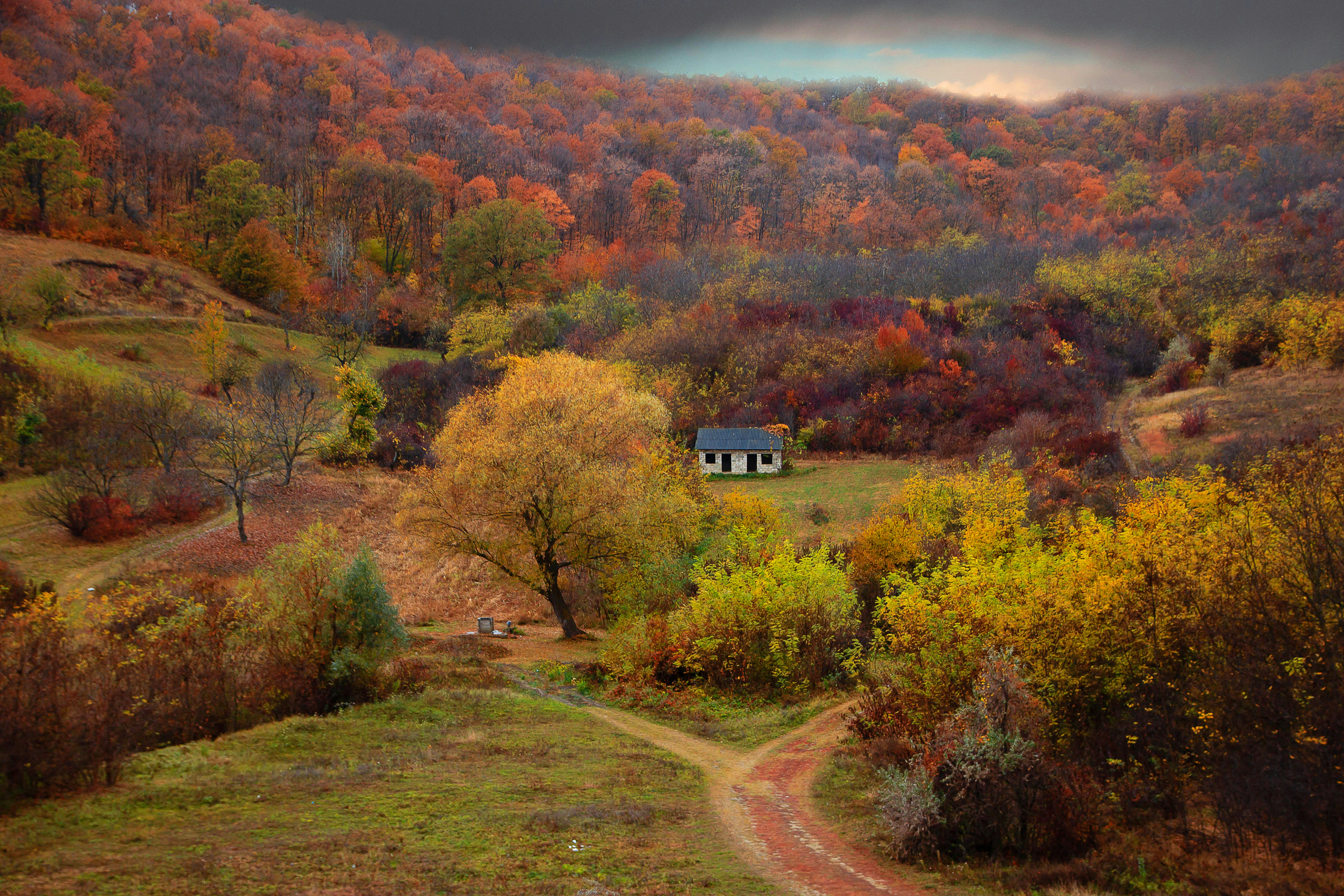 Autumnal trees in the Moldovan countryside