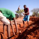 Link to Cultivating Peace in the Horn of Africa