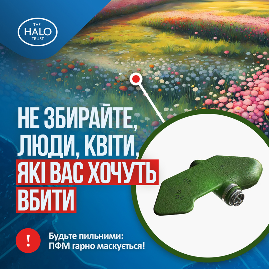 Risk education campaign materials, translated into Ukrainian