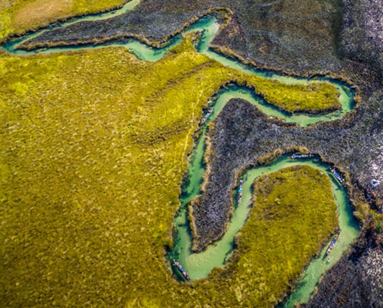 The landscape and waters of the Okavango river delta