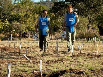 Prince Harry and HALO Trust CEO, James Cowan wear PPE and walk through a cleared minefield
