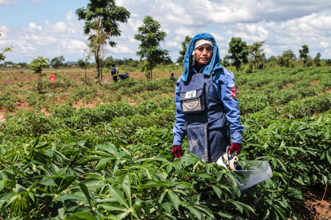 HALO deminer at work in a minefield in Cambodia