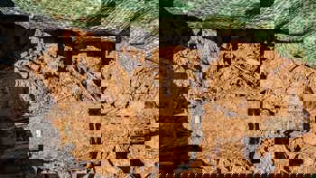 A rusted Mk118, reported by locals in Nabo Village in Laos