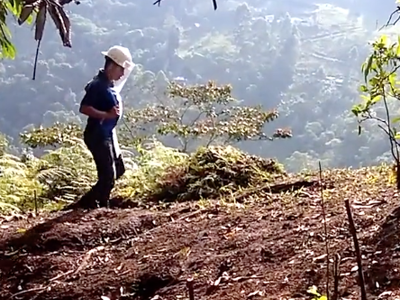 Link to Colombia Visión General Película