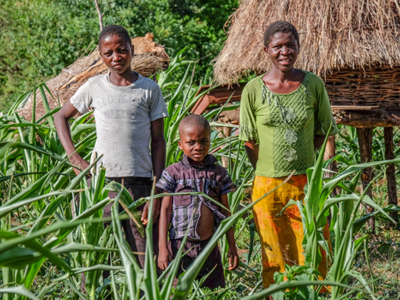 Link to Transforming lives in Zimbabwe