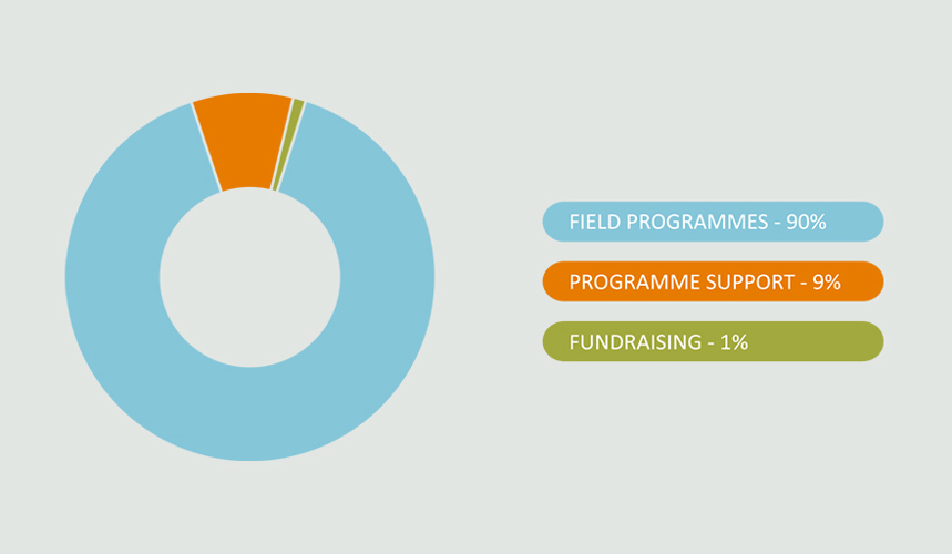 A pie chart demonstrating how each penny of your donation is spent