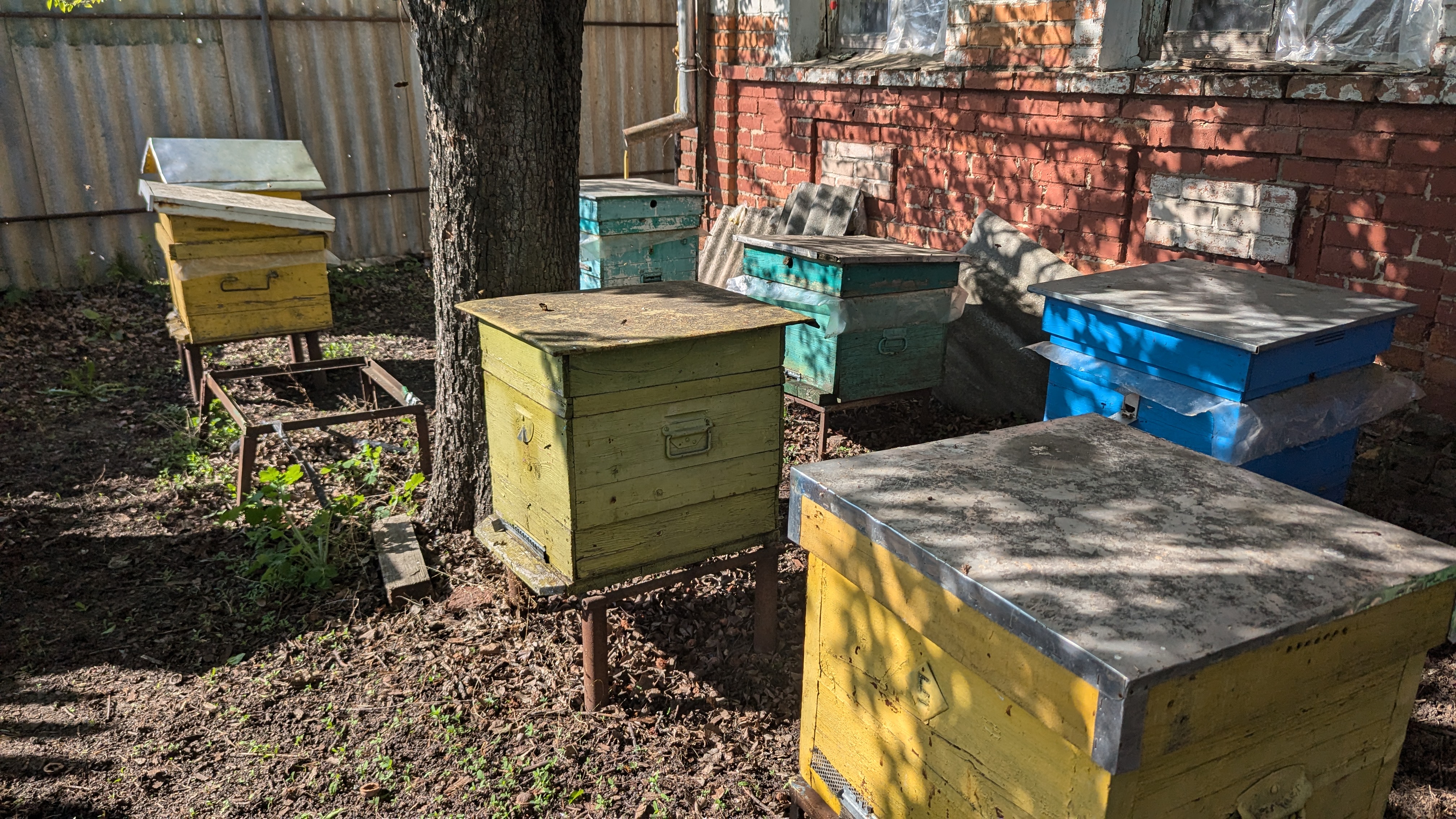 Slavik-beehives-1000026292