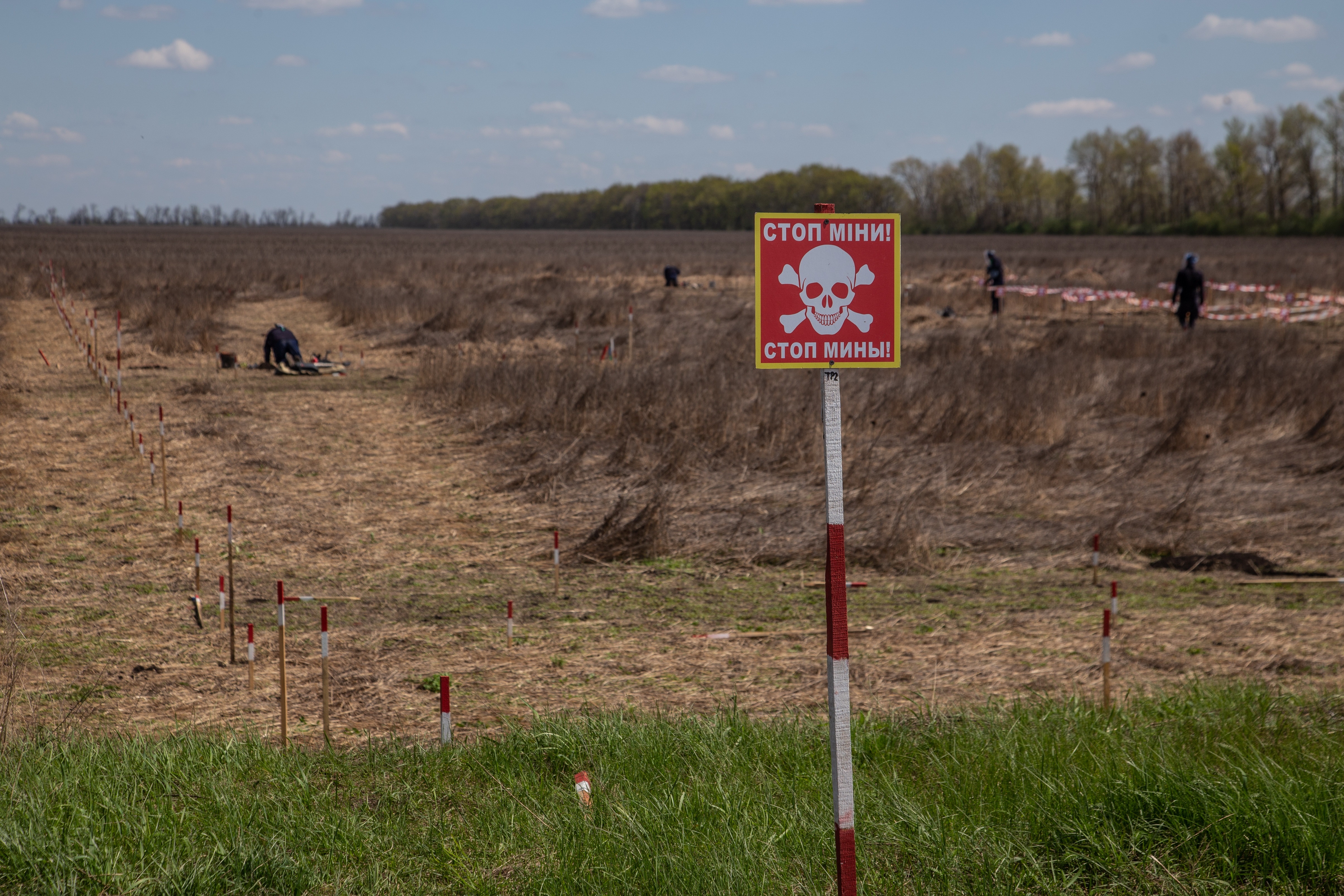 Ukraine-minefield.jpg