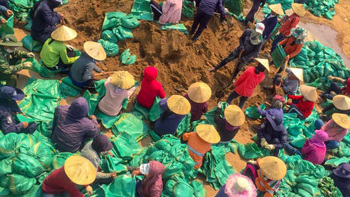 A group of villagers fill sandbags in Laos