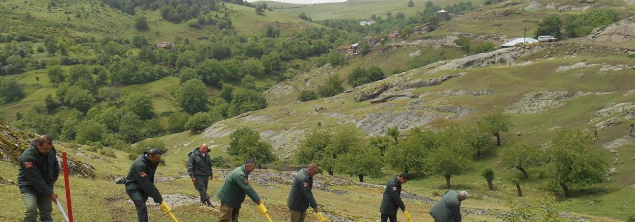 A group of HALO Trust staff use detectors to identify landmines on the side of a grassy hill in Nagorno Karabakh